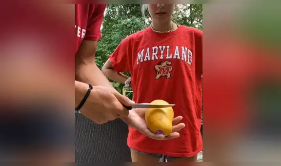 Joven enseña curioso método para cortar un mango y comerlo sin ensuciarse las manos [VIDEO]