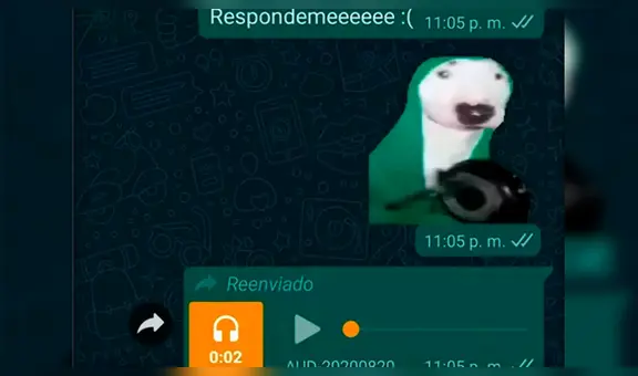 WhatsApp: así puedes tener el ‘sticker con sonido’ del perro que golpea una sartén