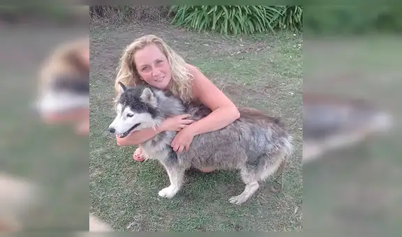 Facebook viral: perro fue robado y seis años después su familia logra encontrarlo [VIDEO] 