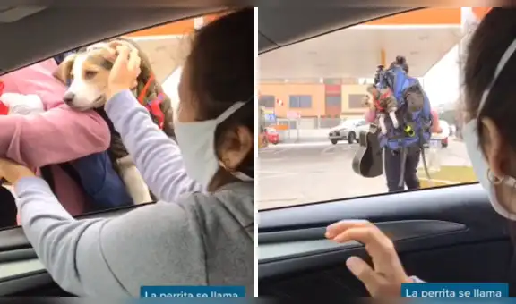 Artista callejero carga a su perro mientras trabaja y joven tiene un noble gesto al darle comida y agua [VIDEO]