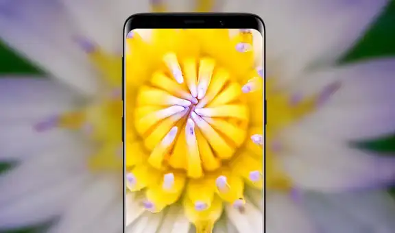 ¿Qué es la cámara macro de mi teléfono y cómo aprovecharlo?