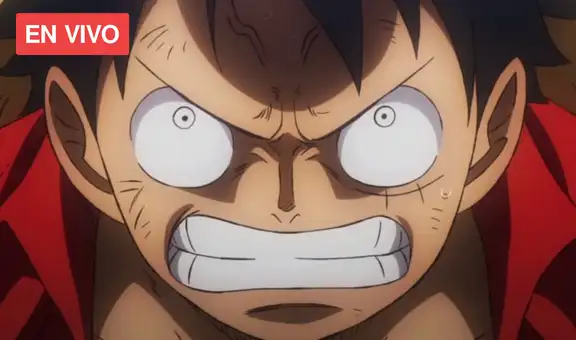 One Piece, capítulo 144: ¿dónde y cómo ver el nuevo episodio del anime? 