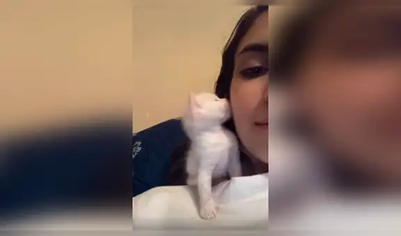 Tierno gato imita a su dueña y la sorprende con un beso en la mejilla [VIDEO]