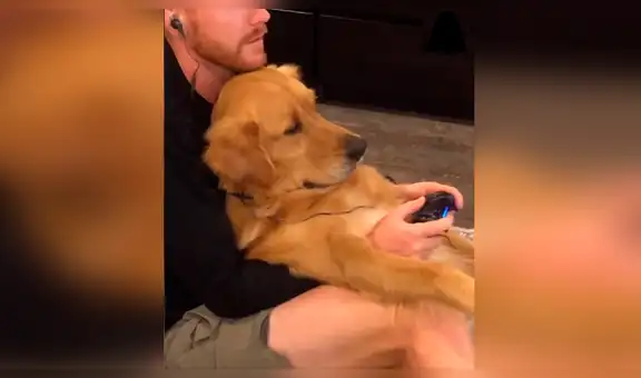 Pide a su novio que ‘cuide’ a su perro y al volver los descubre en una emotiva escena [VIDEO] 