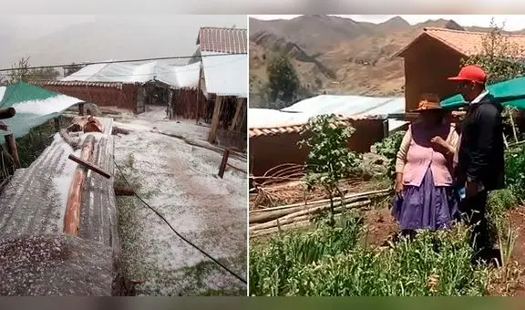 Piden ayuda para campesinos que perdieron sus cultivos tras intensa granizada en Cusco [VIDEO]