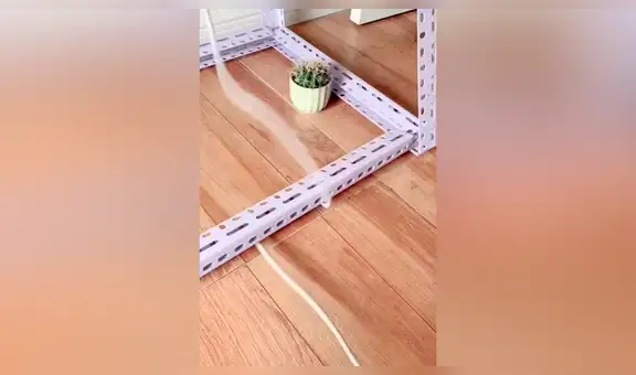 Facebook viral: ¿cómo sacar un cable atrapado debajo de una mesa sin levantarla? Aprende truco [VIDEO] 