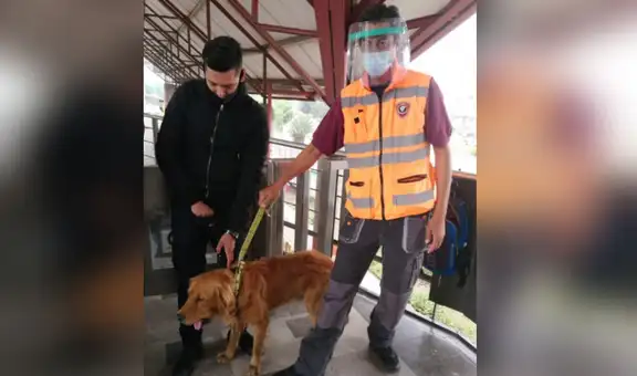 Salvan a perro que se perdió en tren subterráneo, lo reúnen con su dueño y escena conmueve [VIDEO]
