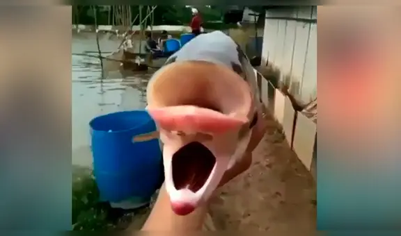 Pescador queda aterrado al descubrir extraña criatura con dos bocas en misterioso río [VIDEO]