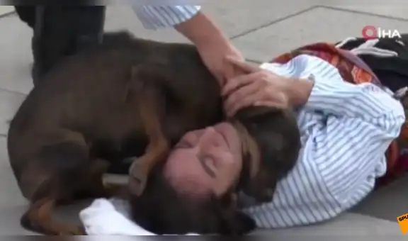 Perro callejero interrumpe obra de teatro para ‘socorrer’ a un actor que fingía estar herido [VIDEO]