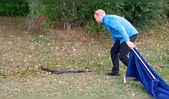 Pensó que había hallado a dos serpientes apareándose, se acerca y se entera de espeluznante verdad [VIDEO]