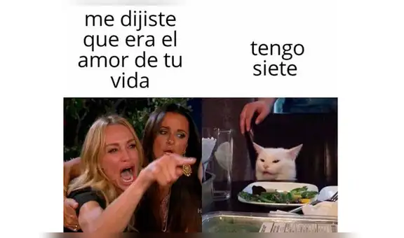 Cuál es el origen y de dónde salió el ‘meme’ de la mujer gritando y el gato en la mesa [FOTOS]