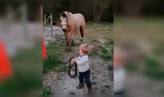 YouTube viral: captan a bebé domando a un caballo y la reacción de este sorprende a todos [VIDEO]