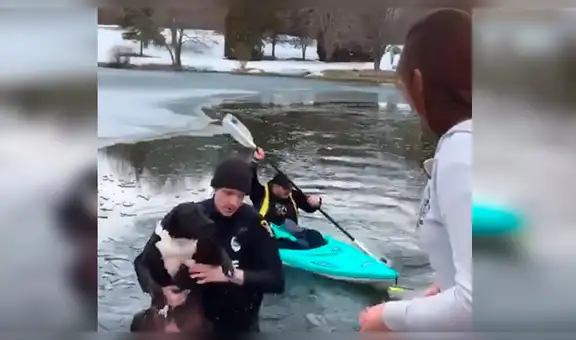 Policía salva la vida de un perro que estuvo a punto de morir congelado [VIDEO] 