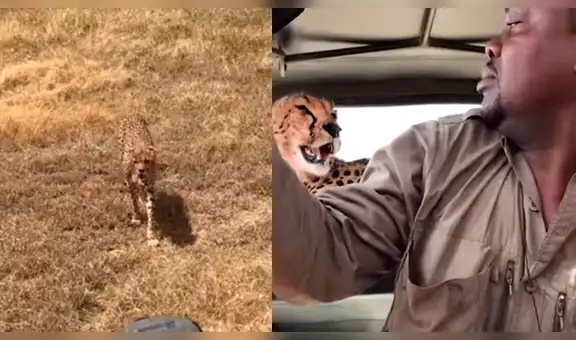 Chita invadió auto en Tanzania y reacción de familia impacta en la red [VIDEO]