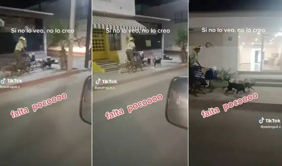 Perritos sorprenden al jalar el carrito de su dueño como si fueran renos de Papá Noel