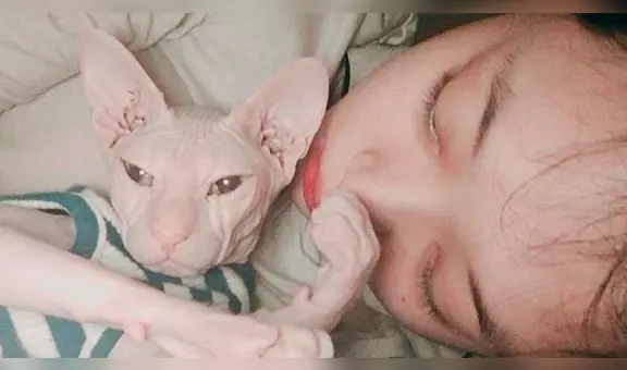 Sulli: Kim Sun Ah adopta a Goblin, mascota de la fallecida idol K-pop