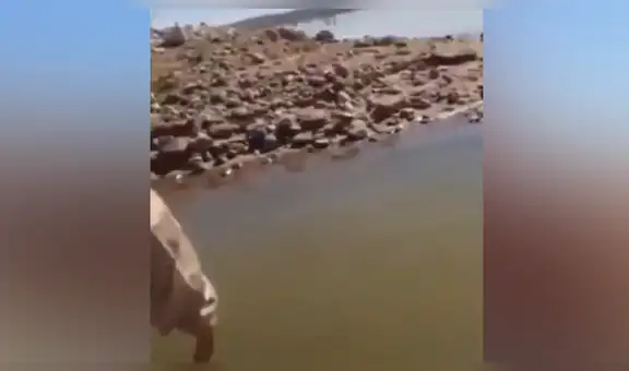 Hombre intenta liberar a pez arrojándolo al mar, pero comete un grave error [VIDEO]