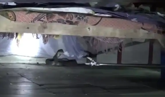 Joven se encuentra con una voraz serpiente al revisar debajo su cama [VIDEO]