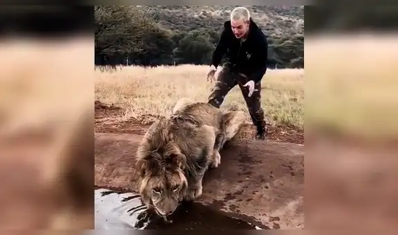 Hombre intenta asustar a sediento león sin imaginar la reacción de la criatura [VIDEO]