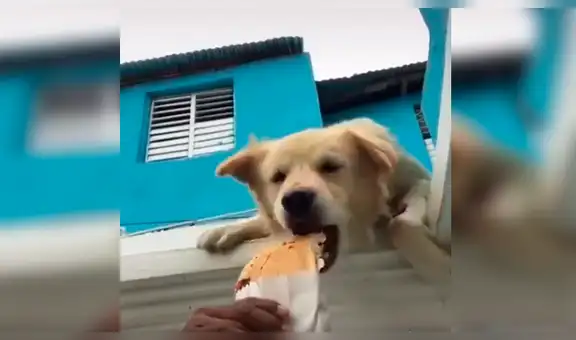 Hombre invita comida a su perro y este le juega un terrible broma [VIDEO]