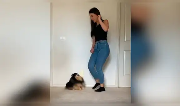 Joven cumple reto de baile junto a su perro y sorprenden con sus pasos [VIDEO]