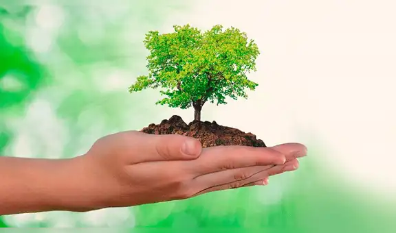 ¿Por qué se celebra el Día Mundial del Medio Ambiente el 5 de junio y cuál es su importancia?