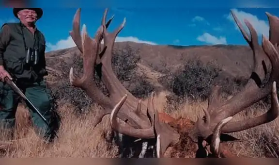 Intentaba cazar a un león y murió de forma inesperada