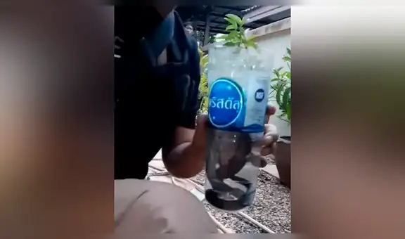 Chico intenta meter peligrosa serpiente en botella de plástico, sin imaginar lo que pasaría [VIDEO]