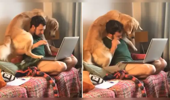 Perro ve a su dueño concentrado en su trabajo y hace de todo para llamar su atención [VIDEO]
