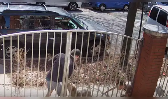 YouTube viral: Hombre trepa una reja para evitar que enfurecido pitbull no lo siga atacando [VIDEO]