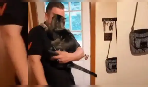 Gato le da amorosa bienvenida a su dueño y protagoniza conmovedora escena [VIDEO]
