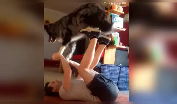 Perro realiza rutina de yoga junto a su dueño y protagonizan entretenido momento [VIDEO]