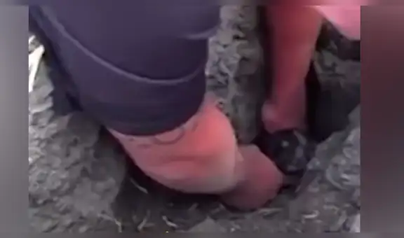 Escucha desgarrador llanto, escarba en la tierra y halla un perro bebé moribundo [VIDEO]