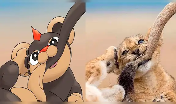 Pokémon GO: lindos animales recrean fotos de algunos Pokémon y fans se sorprenden [FOTOS]