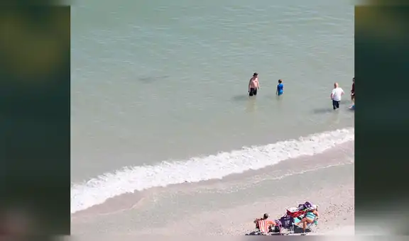 Facebook viral: graban a enorme tiburón emergiendo del mar y aterrando a bañistas [VIDEO]