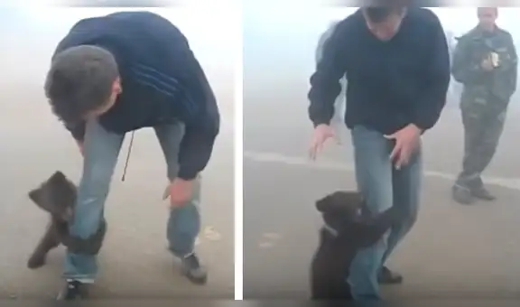 Osezno abraza la pierna de joven que lo salvó de incendio y se niega a soltarlo [VIDEO]