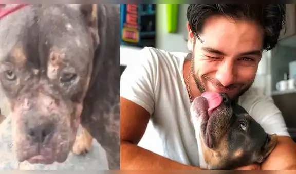 Andres Wiese adopta a mascota que sufrió maltrato animal: “Me has cambiado la vida”
