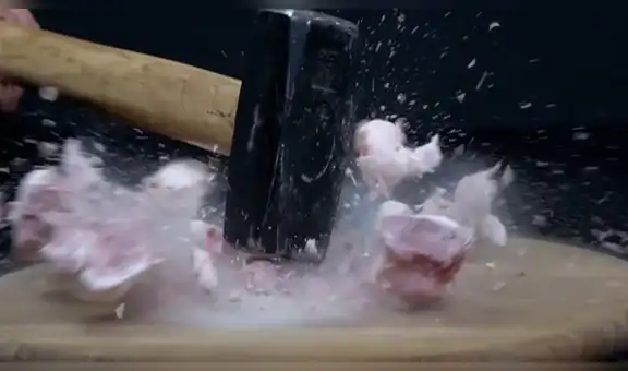 Sumergen corazón en nitrógeno líquido durante experimento y sucede lo más insólito [VIDEO]