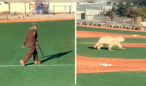 Enorme oso polar provoca el caos al ingresar a campo de béisbol y evadir a dos oficiales [VIDEO]