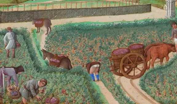 Septiembre, ¿por qué se llama así?: la RAE tiene algo que decirte