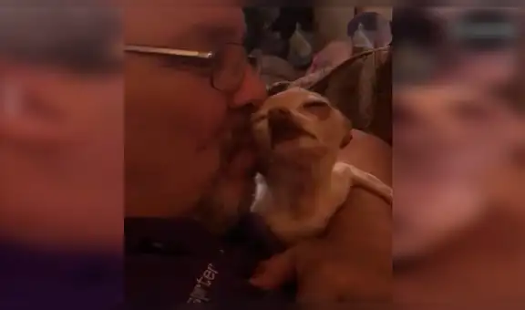 Su esposo no deseaba perros en casa y lo descubre en conmovedora escena con su nueva mascota [VIDEO] 