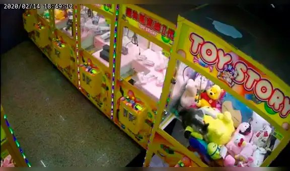 Graban a gato callejero entrando a máquina de peluches y tratando de robar a Pikachu [VIDEO]