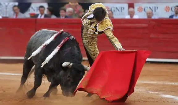 Trabajadores taurinos: “De momento no hay prohibición para las corridas de toros”