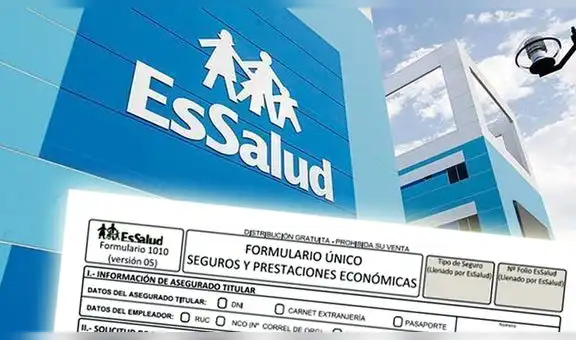 Formulario 1010 de EsSalud: ¿cómo completar correctamente este documento?