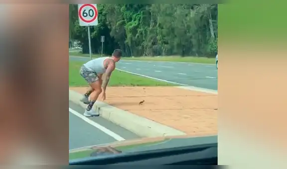 Ayuda a pato a cruzar la pista para que vuelva con su familia y desenlace sorprende a todos [VIDEO]