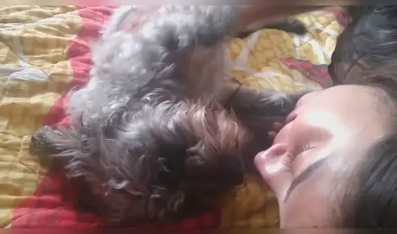 Joven le dice “te amo” a su pequeño perro y este tiene conmovedora reacción [VIDEO] 