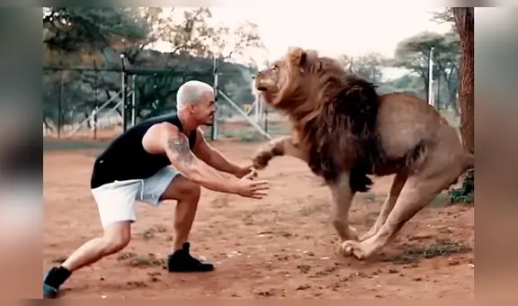 Joven se reencuentra con enorme león que crió de bebé y depredador tiene efusiva reacción [VIDEO]