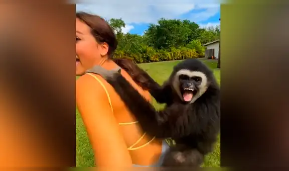 Joven pasea con mono agarrado en su espalda y primate tiene curiosa reacción [VIDEO]