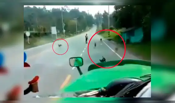 YouTube viral: chofer graba la emotiva reacción de unos perros callejeros al verlo llegar con comida [VIDEO]