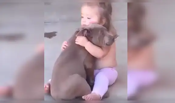 Mujer encarga a su perro ‘vigilar’ a su hija y al regresar los descubre en emotiva escena [VIDEO] 